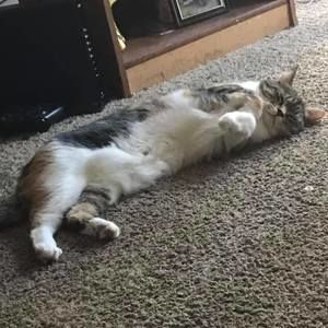 Meet your Posher, Christine